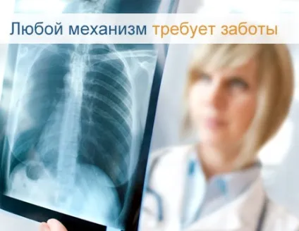 Печінка людини будова, анатомія органу, функції (печінка) Печінка людини будова, анатомія органу, функції