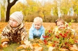 Перга для дітей - з якого віку і в якій дозуванні приймати (який) Перга для дітей - з якого віку і в якій дозуванні приймати