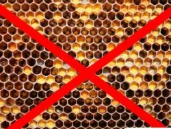 Перга для дітей - з якого віку і в якій дозуванні приймати (віку) Перга для дітей - з якого віку і в якій дозуванні приймати