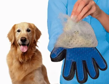 Pet brush glove відгуки, ціна, як купити (glove) Pet brush glove відгуки, ціна, як купити