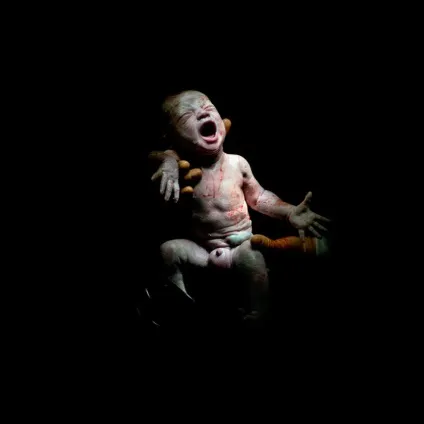 Перші секунди життя новонароджених - приголомшливі фотографії прямо з утроби матері