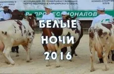 племпідприємство Антраціткое