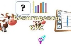 племпідприємство Антраціткое