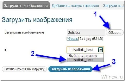 Плагін nextgen gallery - найкраща галерея для wordpress (плагін wordpress) Плагін nextgen gallery - найкраща галерея для wordpress