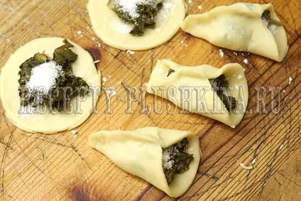 Пиріжки зі щавлем рецепт з фото (секрет соковитою начинки) Пиріжки зі щавлем рецепт з фото