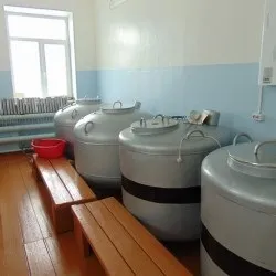 племпідприємство Антраціткое