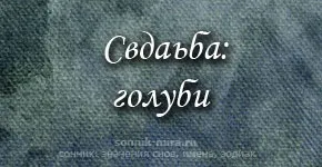 Погана чи хороша прикмета - випускати голубів на весіллі (голубів) Погана чи хороша прикмета - випускати голубів на весіллі