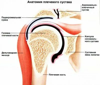 Чому болить плечовий суглоб що робити і як лікувати (плечовий) Чому болить плечовий суглоб що робити і як лікувати
