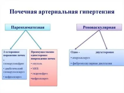 Ниркова гіпертонія симптоми, лікування артеріальної гіпертензії (гіпертонія) Ниркова гіпертонія симптоми, лікування артеріальної гіпертензії