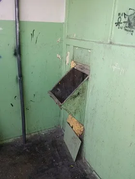 Чому з'являються мошки будинку (чому) Чому з'являються мошки будинку
