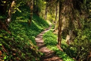 Чому немає успіху в бізнесі (успіху) Чому немає успіху в бізнесі