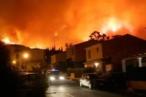 Чому відбуваються лісові пожежі (ліси) Чому відбуваються лісові пожежі