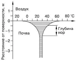 Грунт як середовище проживання, безкоштовні курсові, реферати, дипломні роботи (проживання) Грунт як середовище проживання, безкоштовні курсові, реферати, дипломні роботи