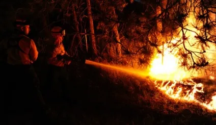 Чому відбуваються лісові пожежі (пожежі) Чому відбуваються лісові пожежі