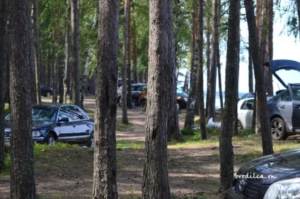 Чому не можна смітити - пояснюю на пальцях (смітити) Чому не можна смітити - пояснюю на пальцях