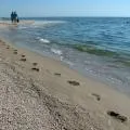 Погода на азовському морі 1 (узбережжі Азовського моря) Погода на азовському морі 1