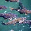 Погода на азовському морі 1 (погода) Погода на азовському морі 1