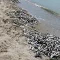 Погода на азовському морі 1 (погода) Погода на азовському морі 1