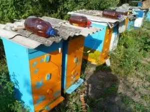 Поїлка для бджіл своїми руками - селянське обійстя (бджіл своїми руками) Поїлка для бджіл своїми руками - селянське обійстя