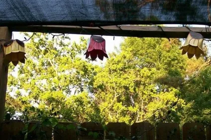 Вироби з пластикових пляшок для дачі фото цікавих робіт, поради дачникам, відео інструкції (пляшок) Вироби з пластикових пляшок для дачі фото цікавих робіт, поради дачникам, відео інструкції