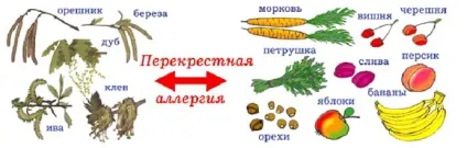 Врятуватися від алергії! як
