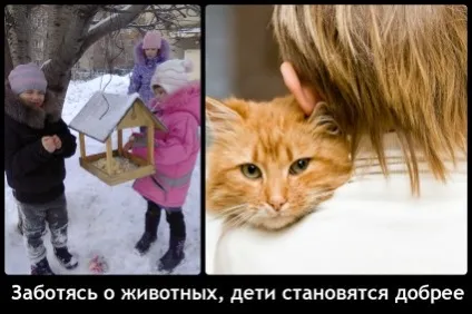 Поспішайте робити добро як виховати доброго дитини