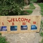 Корисні поради як облаштувати будиночок для індоуток і зробити для них гніздо (зробити) Корисні поради як облаштувати будиночок для індоуток і зробити для них гніздо