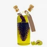 Користь виноградної кісточки (виноградної) Користь виноградної кісточки