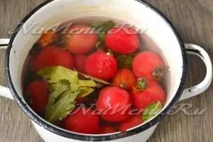 Помідори солоні в каструлі, смачний рецепт (каструлі) Помідори солоні в каструлі, смачний рецепт
