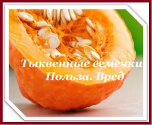 Користь і шкода гарбузового насіння (користь і шкода гарбузового насіння) Користь і шкода гарбузового насіння