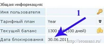 Купівля доменного імені для блогу