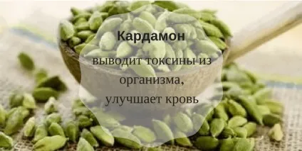 Корисні для здоров'я спеції доведені вченими властивості (смерть) Корисні для здоров'я спеції доведені вченими властивості