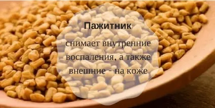 Корисні для здоров'я спеції доведені вченими властивості (lana) Корисні для здоров'я спеції доведені вченими властивості