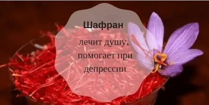 Корисні для здоров'я спеції доведені вченими властивості (рід) Корисні для здоров'я спеції доведені вченими властивості