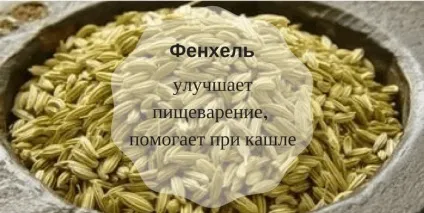 Корисні для здоров'я спеції доведені вченими властивості (парапсихологія) Корисні для здоров'я спеції доведені вченими властивості