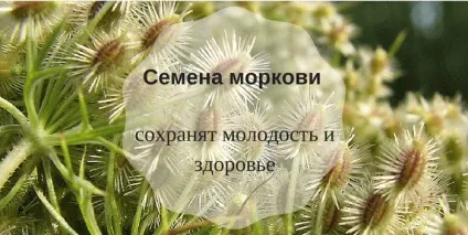 Корисні для здоров'я спеції доведені вченими властивості (підсвідомість) Корисні для здоров'я спеції доведені вченими властивості