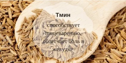 Корисні для здоров'я спеції доведені вченими властивості (створення) Корисні для здоров'я спеції доведені вченими властивості