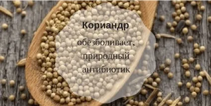 Корисні для здоров'я спеції доведені вченими властивості (усвідомлення) Корисні для здоров'я спеції доведені вченими властивості