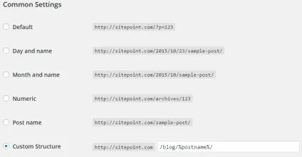 Призначені для користувача пости wordpress повне керівництво