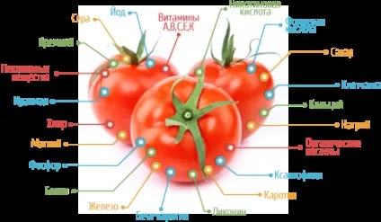 Користь і шкода помідора для організму, корисні і лікувальні властивості (користь) Користь і шкода помідора для організму, корисні і лікувальні властивості