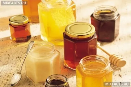 Корисні властивості меду з маточним молочком (маточним) Корисні властивості меду з маточним молочком