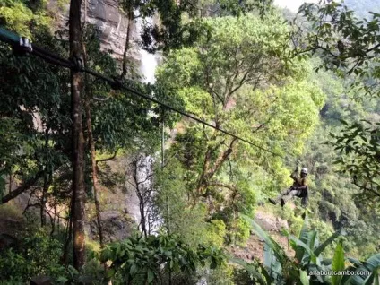 Польоти на зіплайне над джунглями на плато Болавен (польоти) Польоти на зіплайне над джунглями на плато Болавен