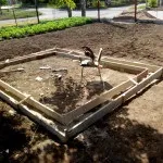 Покрокова інструкція з фото з будівництва сараю і загороди для качок своїми руками (інструкція) Покрокова інструкція з фото з будівництва сараю і загороди для качок своїми руками