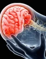 Після удару головою болить шия і голова лікування, наслідки (голова) Після удару головою болить шия і голова лікування, наслідки