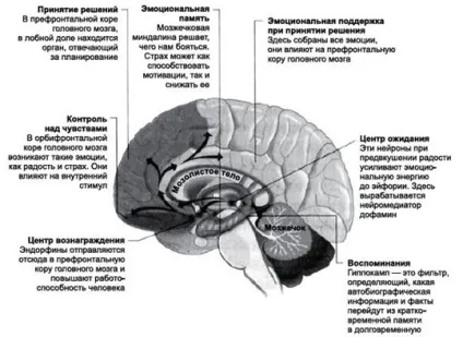 Пізнавальні методи мотивації, блог 4brain (пізнавальні методи мотивації) Пізнавальні методи мотивації, блог 4brain