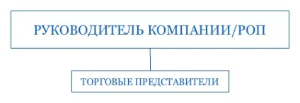 Правильна структура відділу продажів організація, схема роботи, функції, тонкощі управління (роботи) Правильна структура відділу продажів організація, схема роботи, функції, тонкощі управління
