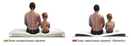 Правильний ортопедичний матрац вибір ортопедів (матрац) Правильний ортопедичний матрац вибір ортопедів