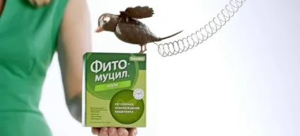 Препарат фітомуціл для схуднення слім смарт - склад, як приймати і протипоказання (фітомуціл) Препарат фітомуціл для схуднення слім смарт - склад, як приймати і протипоказання