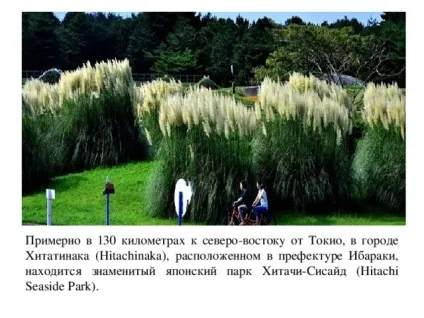 Презентація на тему садово-паркові ландшафти - географія, презентації (презентація) Презентація на тему садово-паркові ландшафти - географія, презентації
