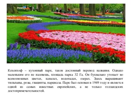Презентація на тему садово-паркові ландшафти - географія, презентації (ландшафти) Презентація на тему садово-паркові ландшафти - географія, презентації